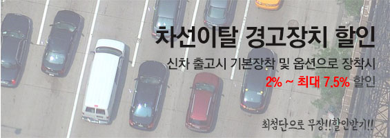 차선이탈 경고 할인