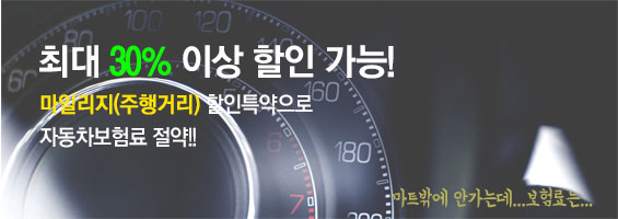 마일리지 할인